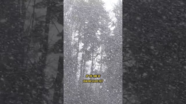 He hiked himself into Imminent DANGER... and he paid for it смотреть онлайн