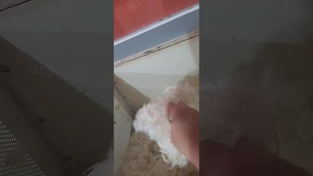 Перьевые подушки! Наше новое производство смотреть онлайн