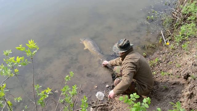 Зеленый гай смотреть онлайн