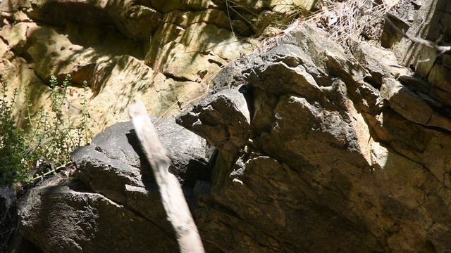 Building a Survival Shelter in the Mountains - Day 1 смотреть онлайн