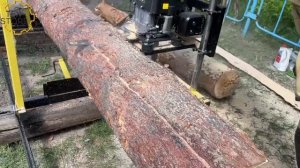 Шинная бензиновая пилорама PilaTex 11 л.с.