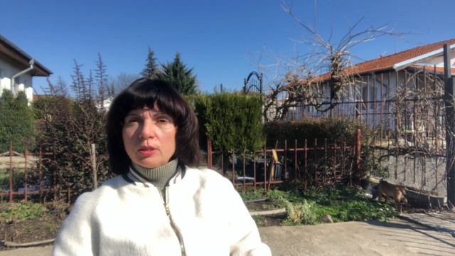 Болгария как оформить машину смотреть онлайн