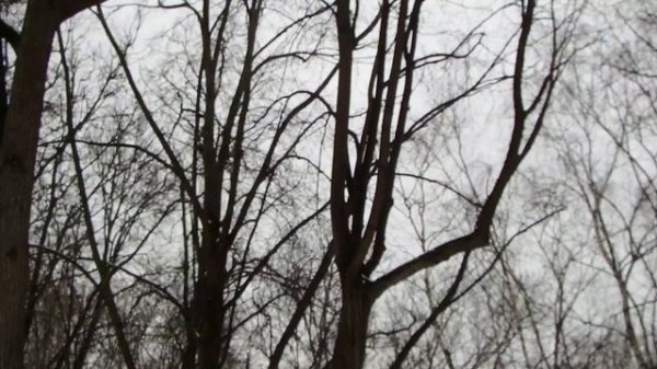 Белка на бутылке