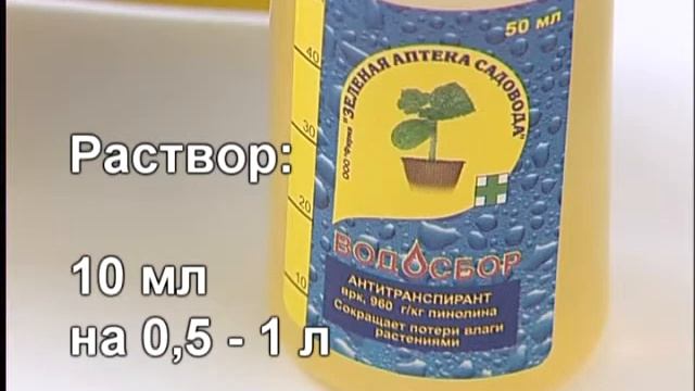 Водосбор смотреть онлайн