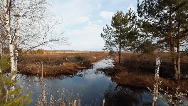 Путешествие на avantis hunter 8 new смотреть онлайн