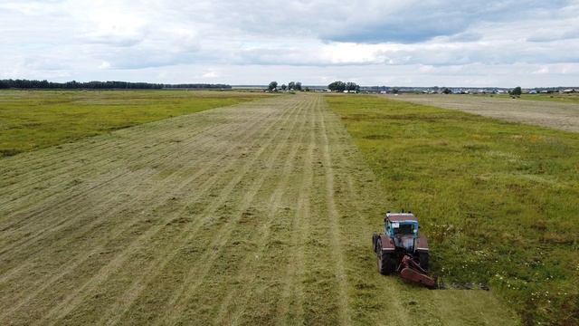 Сенокос смотреть онлайн