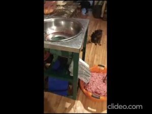 Промышленная мясорубка MS42 300 кг/час костедробилка