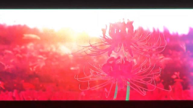TORONTOKYO, Ooes - последнее лето X Tokyoghoul