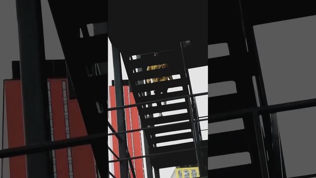 Что-то прошедшее, что-то настоящее, что-то забытое, что-то вечное, Эмма М смотреть онлайн