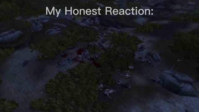 Dragonborn`s Honest Reaction