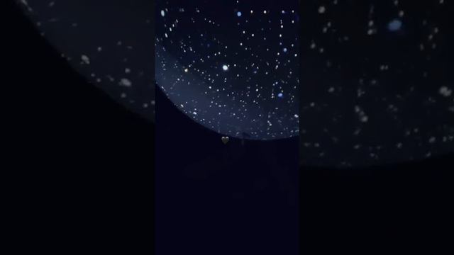 Мари Сенн - Встреча с Арианой Гранде - 28.03.2019 [INSTA STORIES]