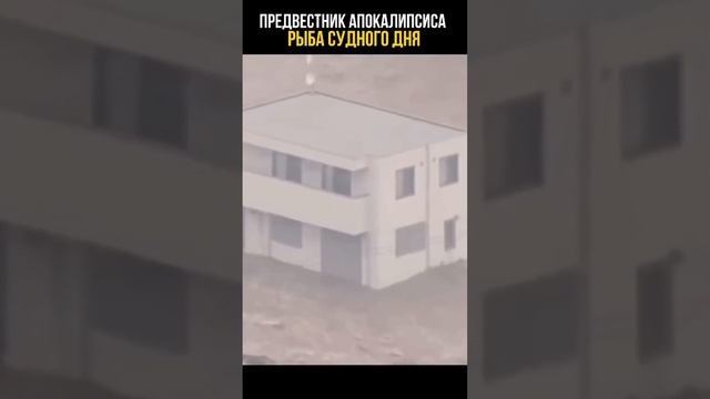 Вкусовые Эмоции