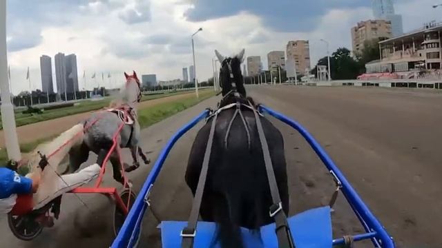 Поехали на приз! Орловские рысаки старшего возраста. смотреть онлайн