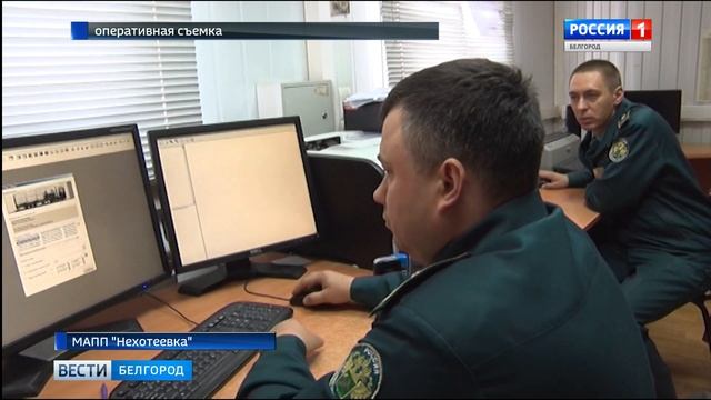 Таможенники не позволили вывезти из России старинную икону смотреть онлайн