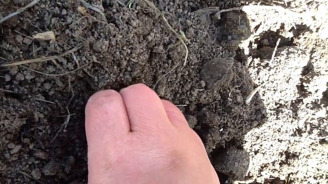 Весенний посев Лука-севка смотреть онлайн