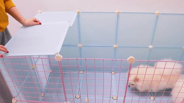DIY Cute House For Pomeranian Poodle Puppies & Kitten | How To Make House For Dogs Cats | MR PET #2 смотреть онлайн