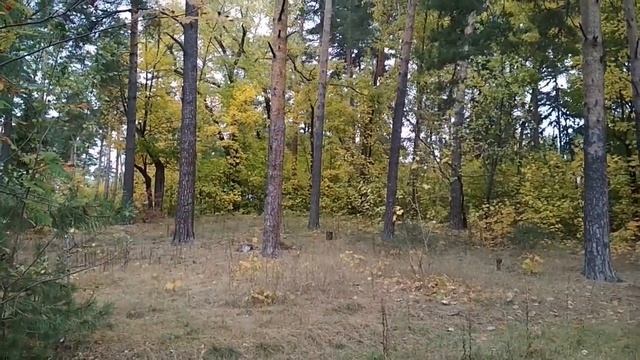 ОСЕНЬ В САНАТОРИИ ВАСИЛЬЕВСКИЙ 30 09 2018 г смотреть онлайн