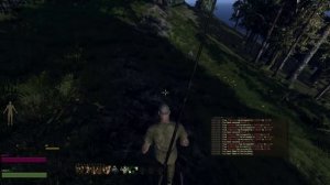 Обзор Life is Feudal: Your Own. Геймплей. Начало, что делать?