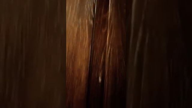 межкомнатная дверь смотреть онлайн