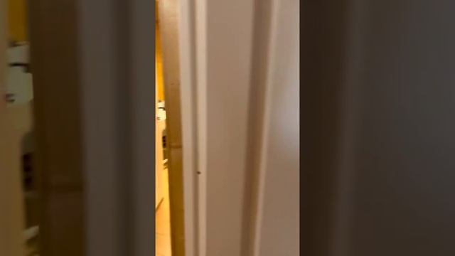 Лидер 7. Строительная компания Теремъ. смотреть онлайн