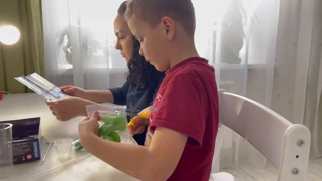 Одна с детьми: убираем бардак, учимся играя, готовим вкусняшки?? Выбираем школу?