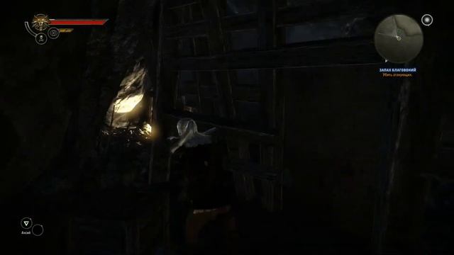 The Witcher 2: Assassins of Kings #7 - Исследуем дикий лес! смотреть онлайн