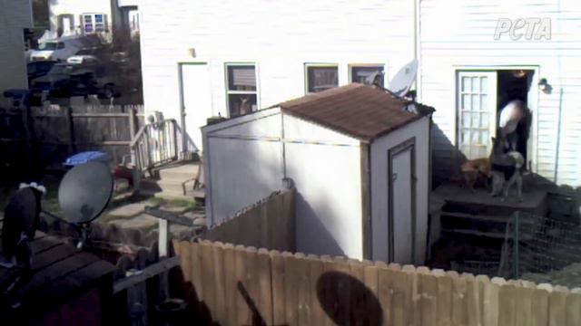 'Game of Thrones' Fans, Listen Up—Jerome Flynn Has an Urgent Message смотреть онлайн