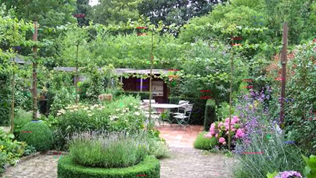 Средство для удаления растительного налета смотреть онлайн