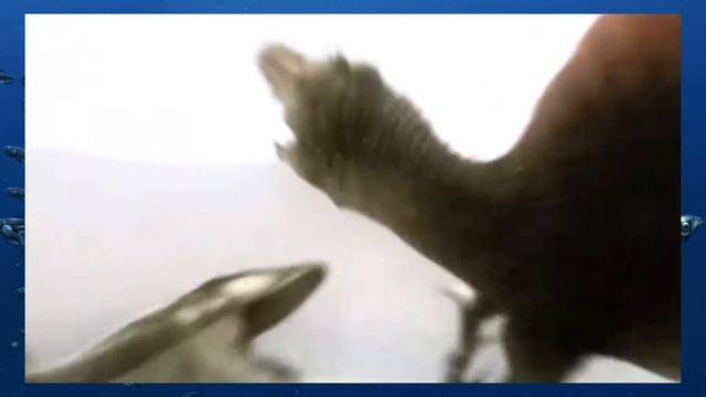 Monsters Resurrected (2009) Accuracy Review | Dino Documentaries RANKED #15 (Part 1/2)