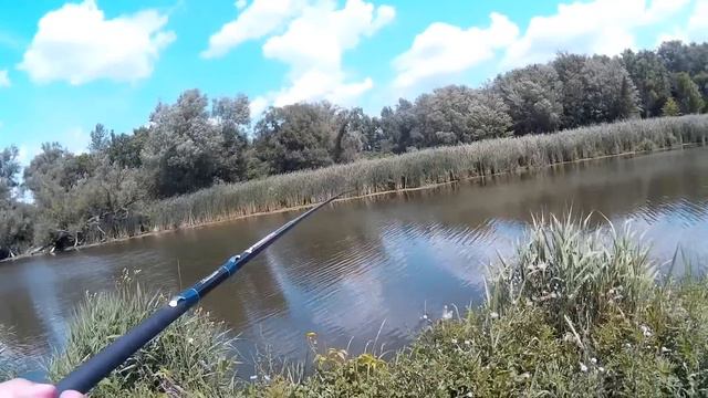 Fishing with a 13' Telescopic Fixed Line Fishing Pole смотреть онлайн