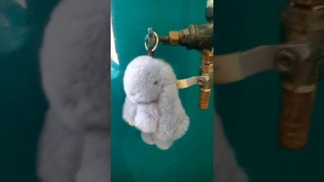 Фото зайки 4 смотреть онлайн