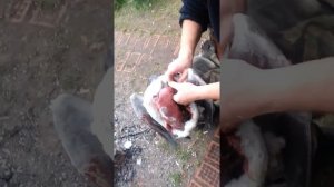 Снятие шкуры гуся.mp4