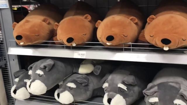 Всё для сна