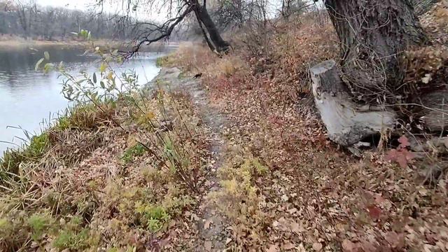 Рыбалка поздней осенью на поплавок. Холодно, но рыбка есть смотреть онлайн