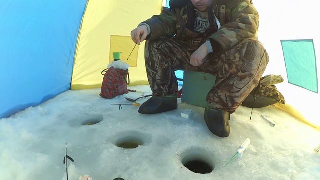 Зимняя рыбалка в Трусово. Истринское водохранилище. Погладить кошку на удачу. смотреть онлайн