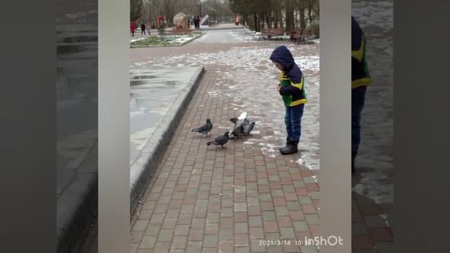 Акция " Покормите птиц зимой ". смотреть онлайн