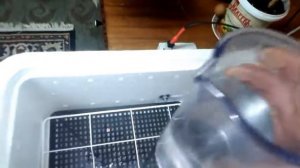 долив воды в инкубатор.