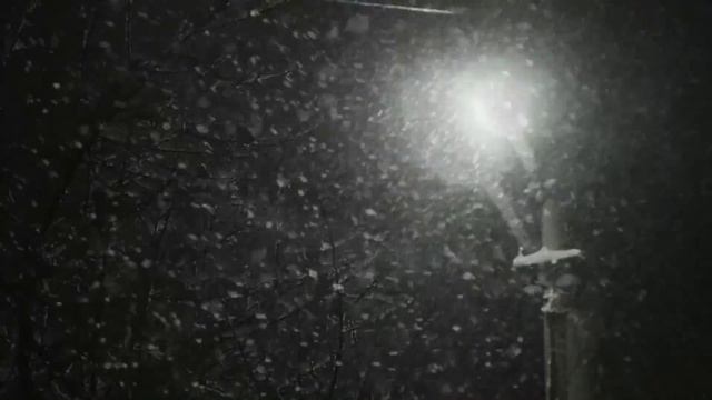 Светлана Казакова Поздним вечером смотреть онлайн