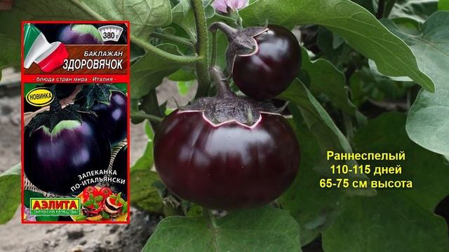 Эти Баклажаны созревают всегда смотреть онлайн