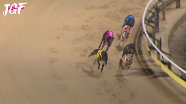 Australian racing greyhounds - Dog race смотреть онлайн