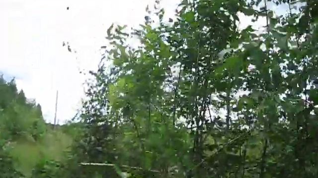 ЛЭП своими силами готова!//поездка на участок // переезд в деревню смотреть онлайн