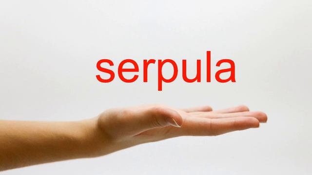 How to Pronounce serpula - American English смотреть онлайн
