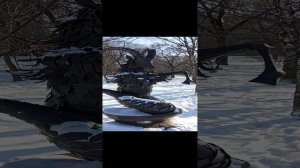 Достопримечательности Хабаровск