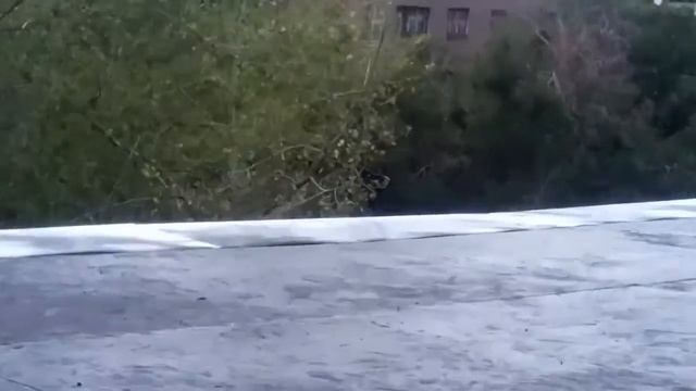 Обработка поверхности крыши. 30.08.2017. смотреть онлайн