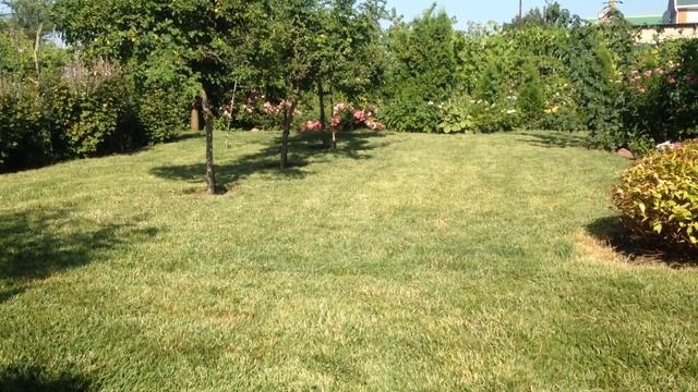 Сад в июле. Многолетники в саду. смотреть онлайн