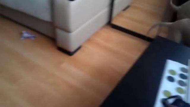 Тайский риджбек. смотреть онлайн