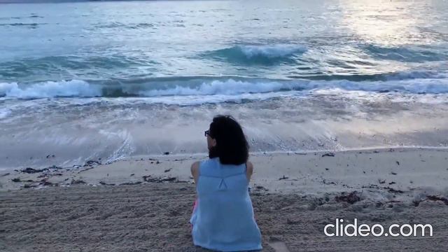 Blues run the game | Jackson C. Frank | Self musing смотреть онлайн