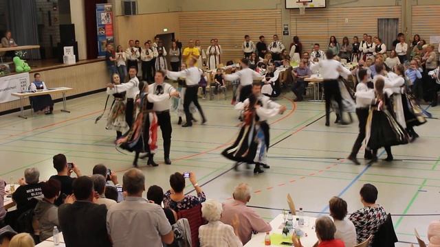 Polka van Hofstade / Kürtanz VTW 18/ JTG HN смотреть онлайн