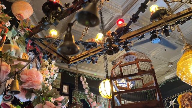 Mablels | Eau Claire | An Oddity & Antique Shop in Wisconsin смотреть онлайн