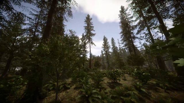 Sons Of The Forest | Game Capture | Free to Use Game Footage (2023) смотреть онлайн